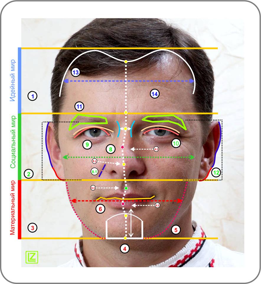 Physiognomy<br>